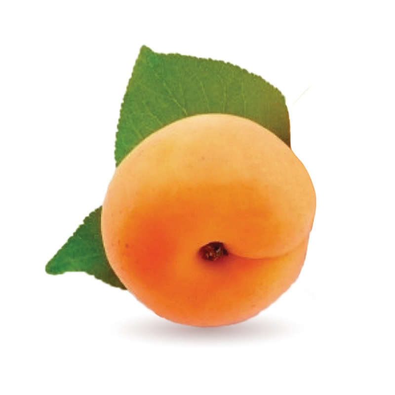 Albicocche Pellecchiella